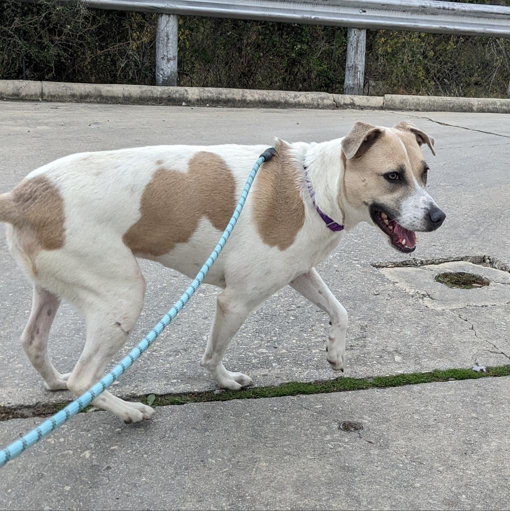 Sandy’s Story-Thank You!  - gallery image